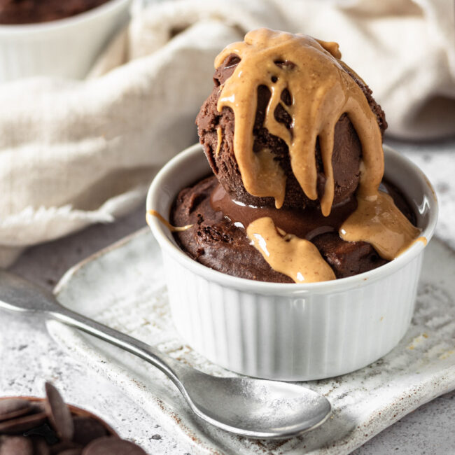 Chocolate Peanut Butter Mug Cake